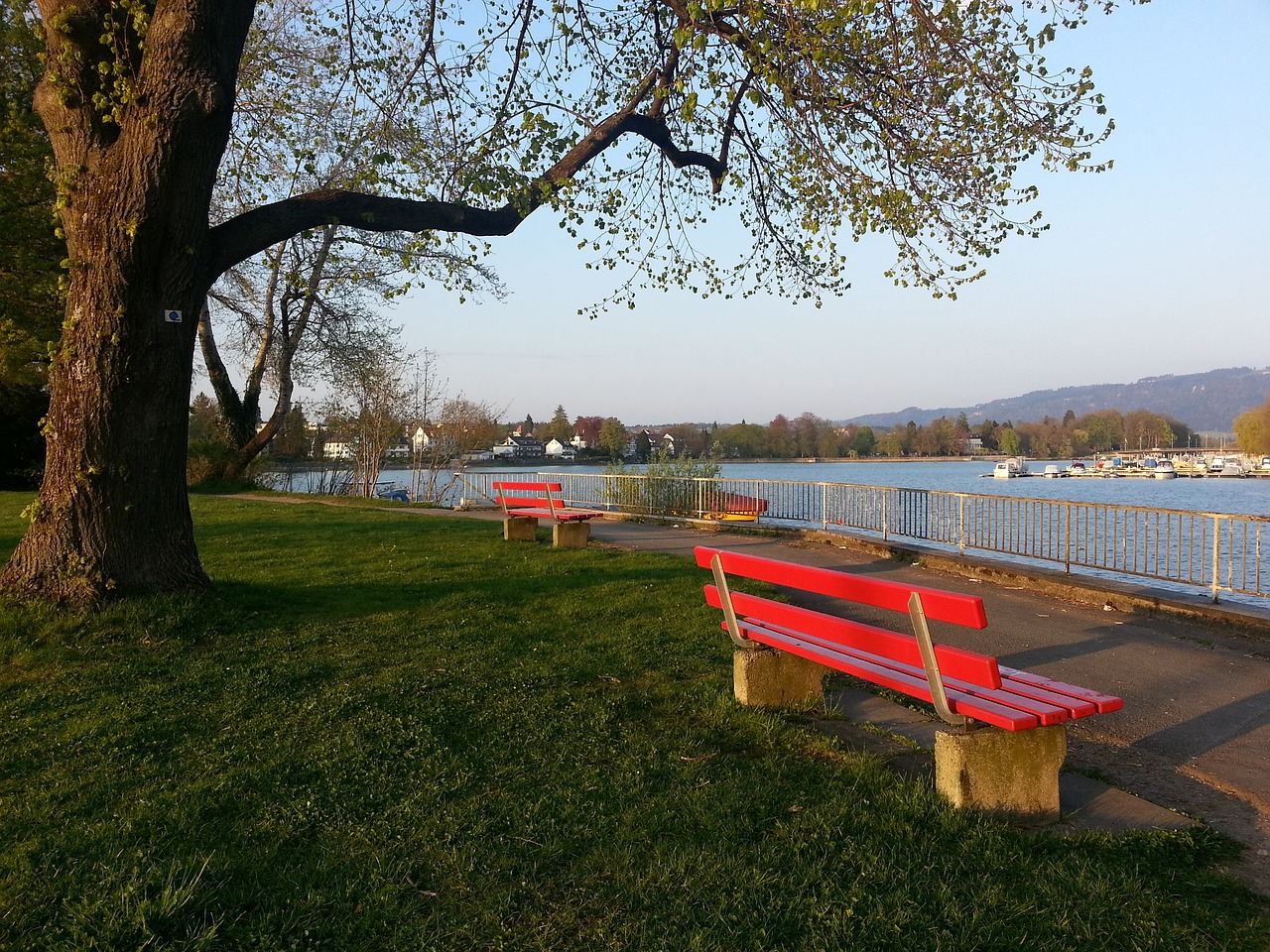 这场比赛注 这场比赛注