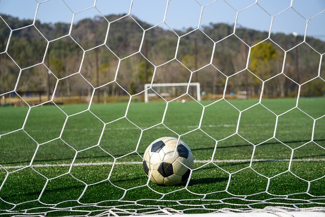 各項錦標的 各項錦標的