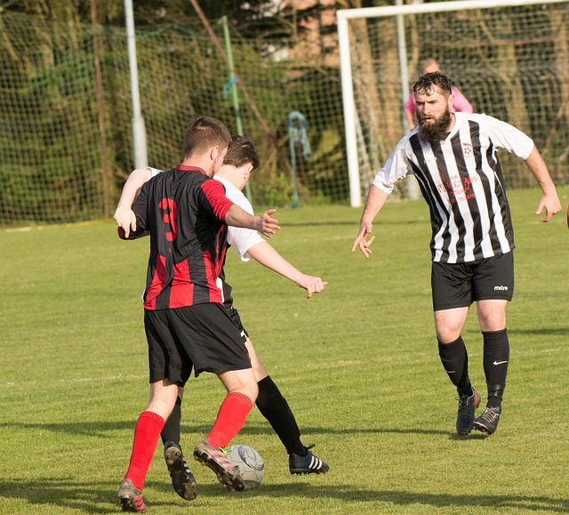 而丁威迪则 而丁威迪则