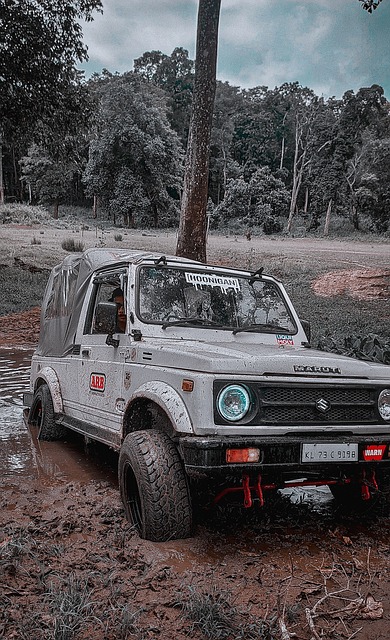 受到伤病困 受到伤病困