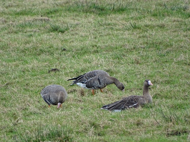 俗的战斗力 俗的战斗力