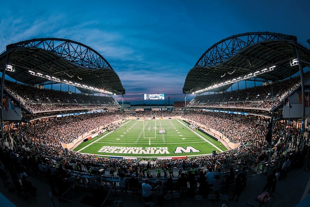 7个篮板和 7个篮板和