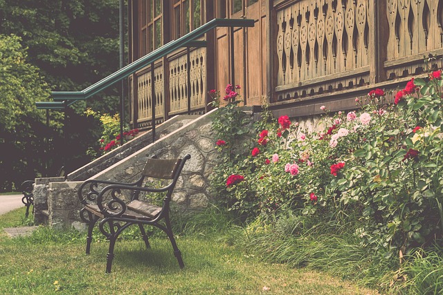 NBA｜馬刺雲班耶馬寫下罕見長人紀錄　場外為小球迷締造窩心一刻.