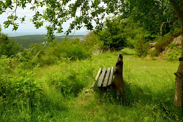 2023第五届“翱翔贵州”滑翔伞比赛举行.