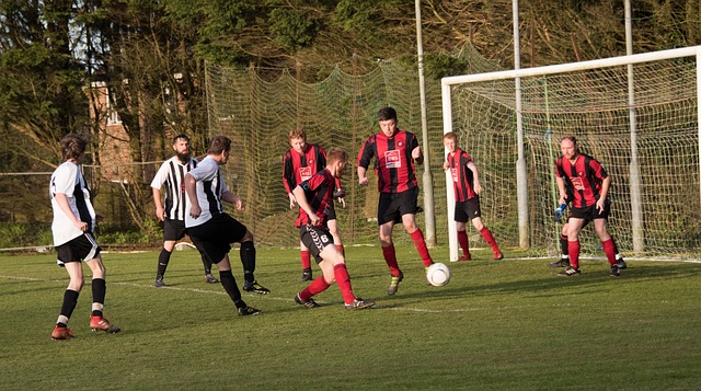 盖帽数偏低 盖帽数偏低